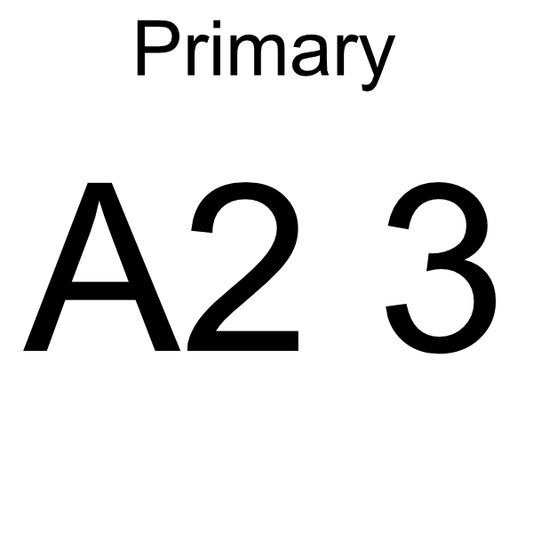 Test Multi Prod Multi-Primary should include options A B C D E